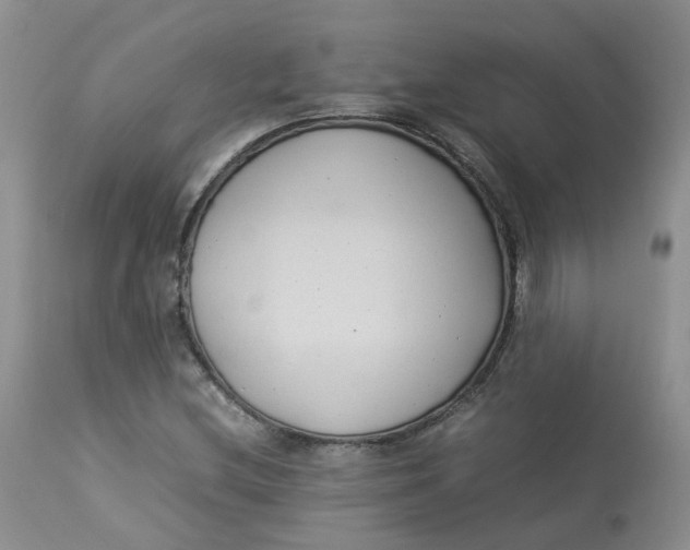 X0000112871212200909111525