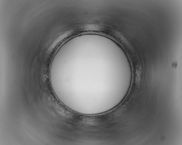 X0000112871213200909111525