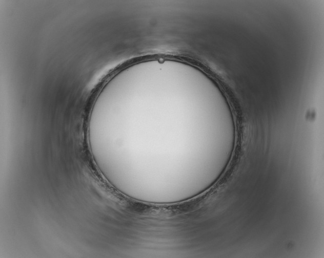 X0000112871214200909111525