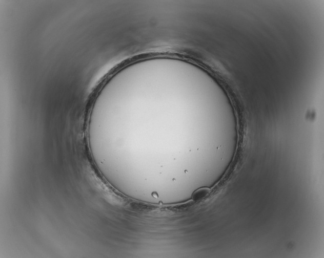 X0000112871216200909111525