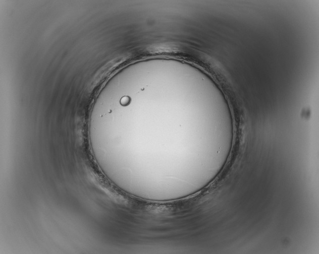 X0000112871217200909111525