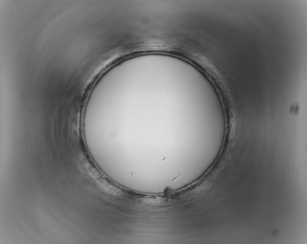 X0000112871220200909111525