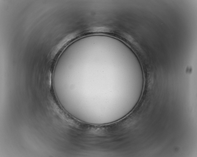 X0000112871221200909111525