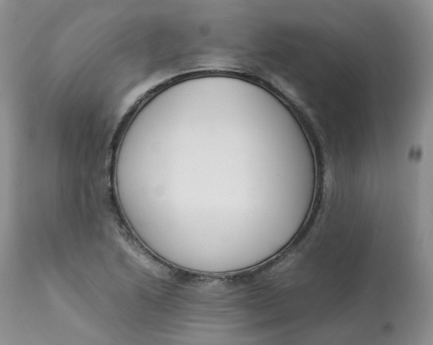 X0000112871222200909111525