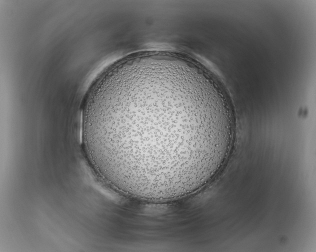 X0000112871223200909111525