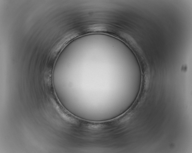 X0000112871225200909111525