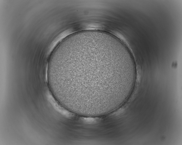 X0000112871227200909111525