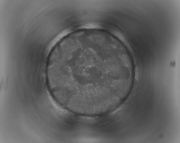 X0000112871229200909111525