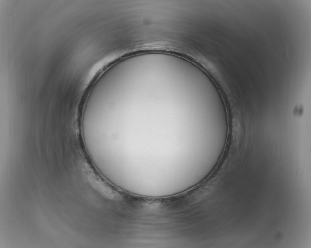 X0000112871230200909111525