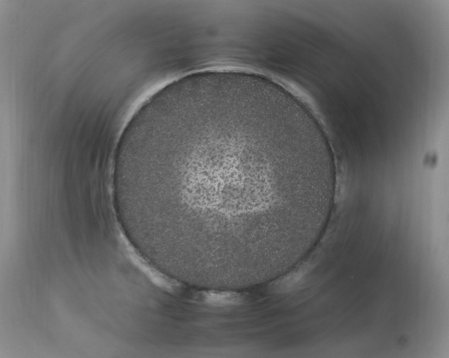 X0000112871231200909111525