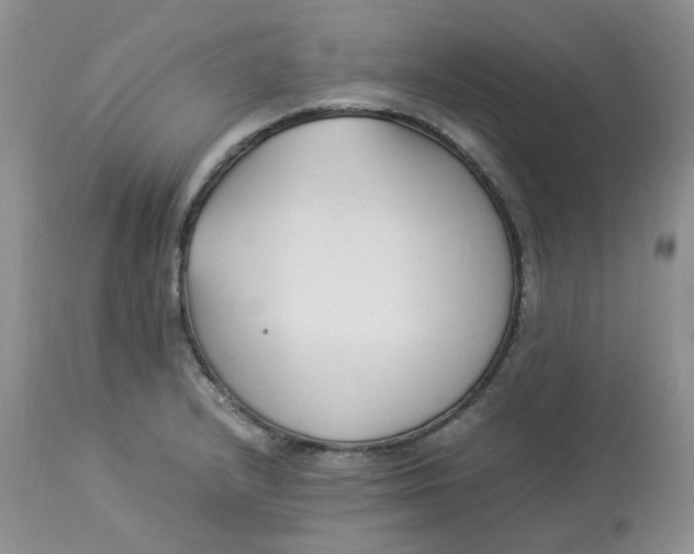 X0000112871232200909111525