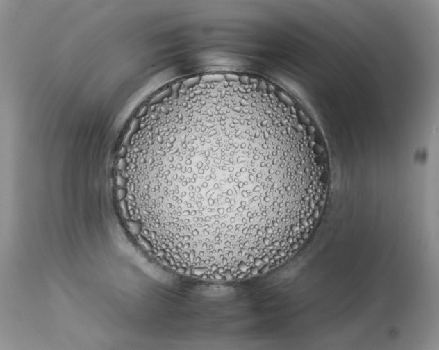 X0000112871235200909111525