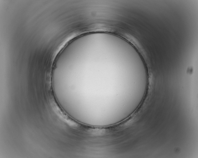 X0000112871236200909111525