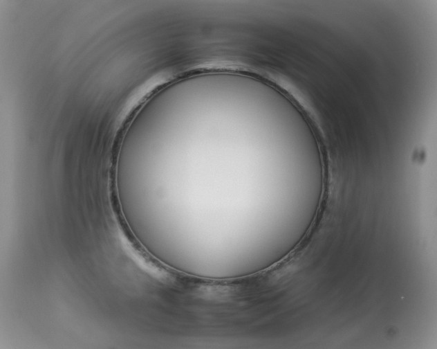 X0000112871237200909111525