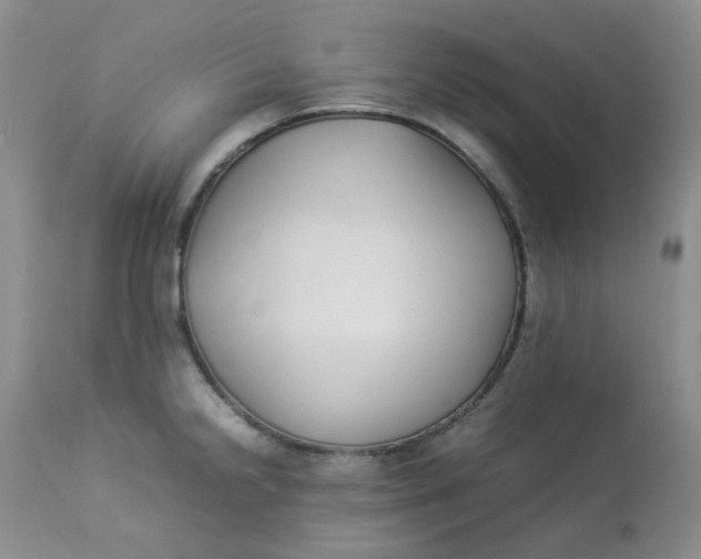 X0000112871238200909111525