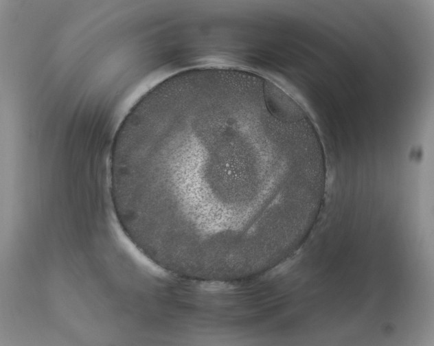 X0000112871239200909111525