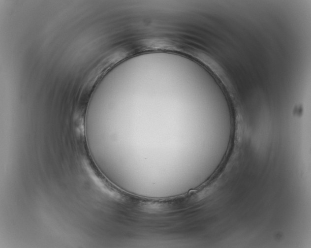 X0000112871241200909111525