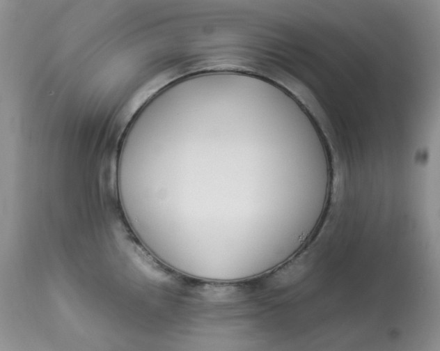 X0000112871242200909111525