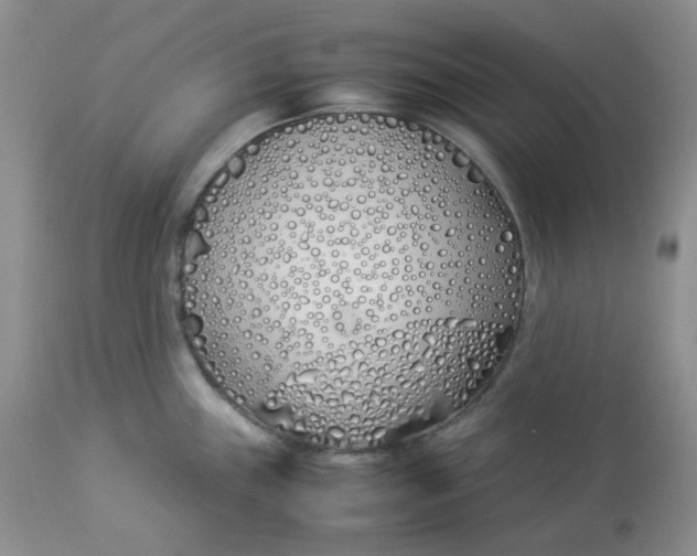 X0000112871243200909111525