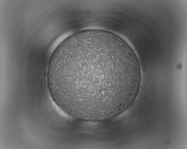 X0000112871245200909111525