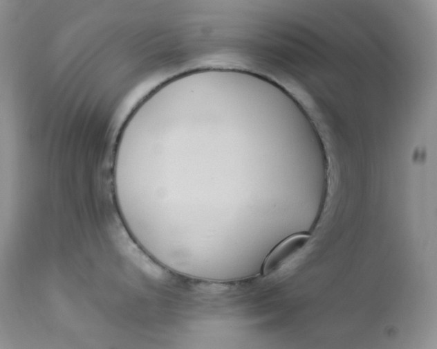 X0000112871248200909111525