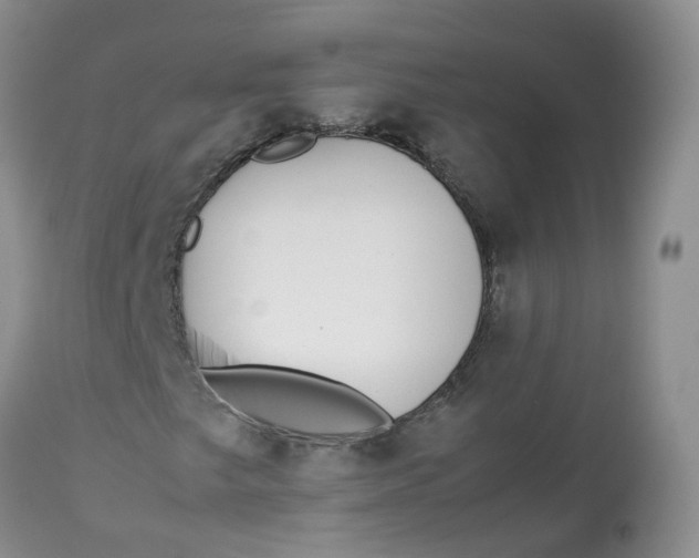 X0000112871249200909111525