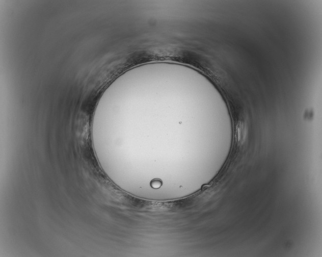 X0000112871251200909111524