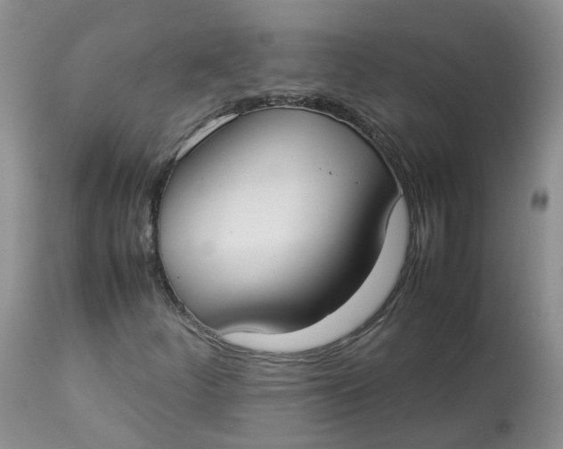 X0000112871252200909111524