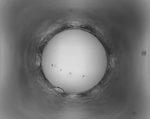 X0000112871253200909111524