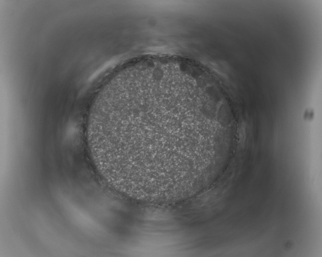 X0000112871254200909111524