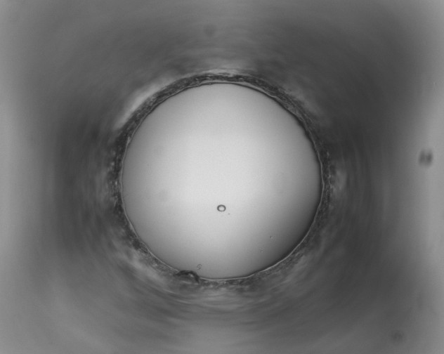 X0000112871256200909111524