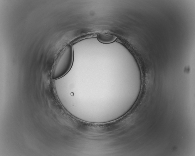 X0000112871257200909111524