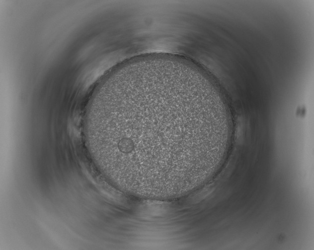 X0000112871258200909111524