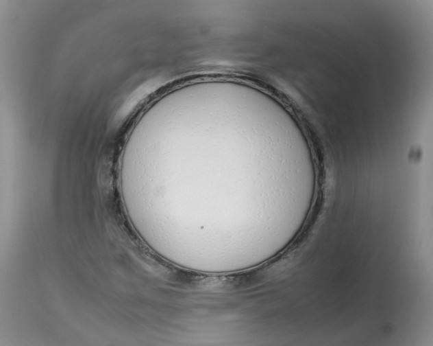 X0000112871259200909111524