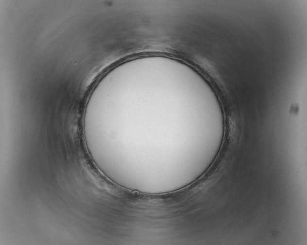 X0000112871260200909111524