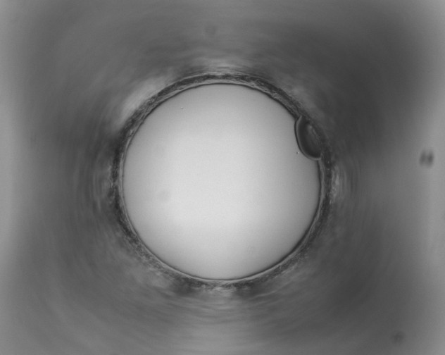 X0000112871261200909111524