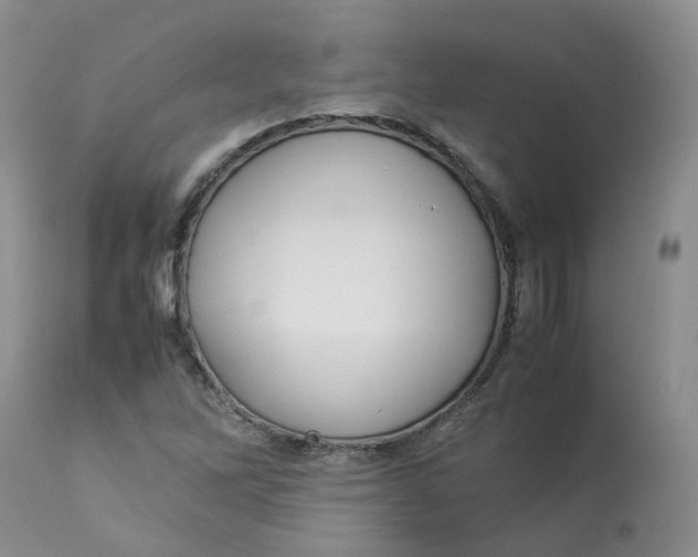 X0000112871262200909111524