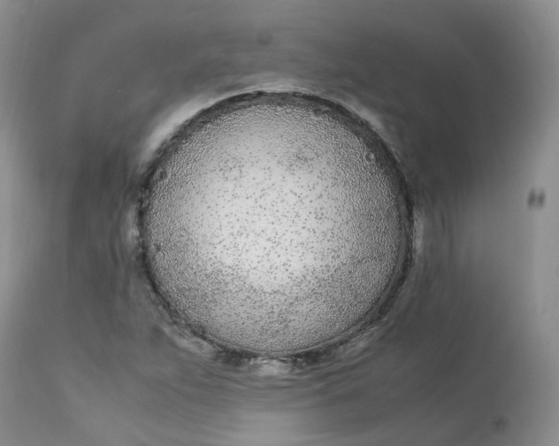 X0000112871263200909111524