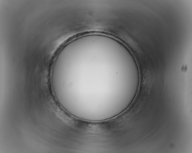 X0000112871264200909111524