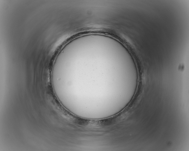 X0000112871267200909111524