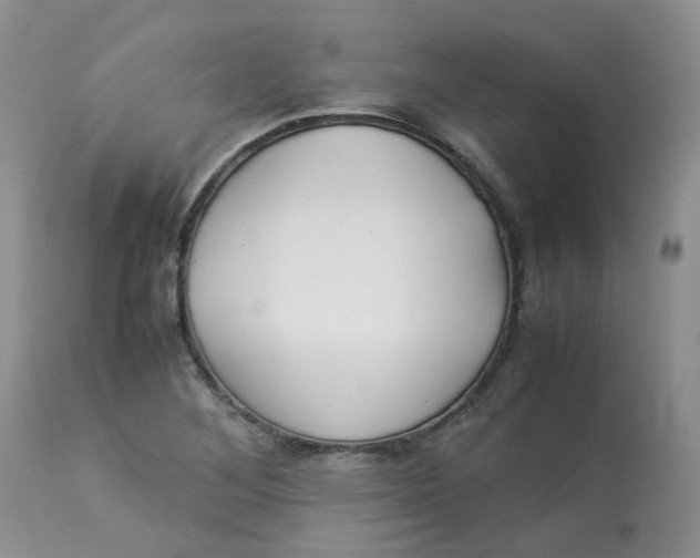 X0000112871268200909111524