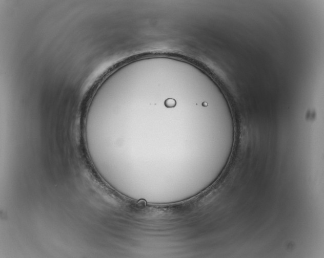 X0000112871270200909111524