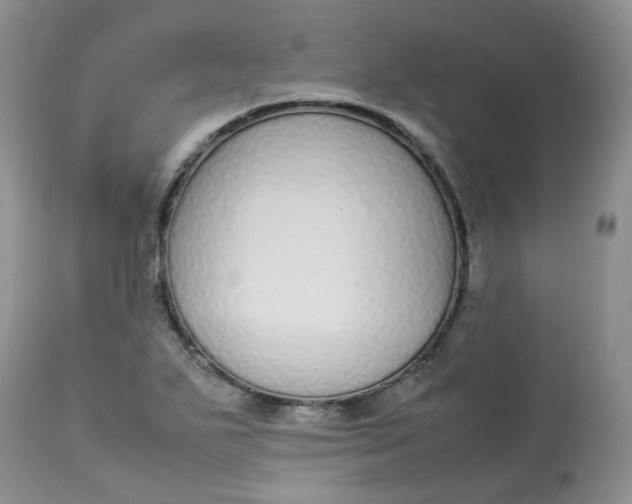 X0000112871271200909111524