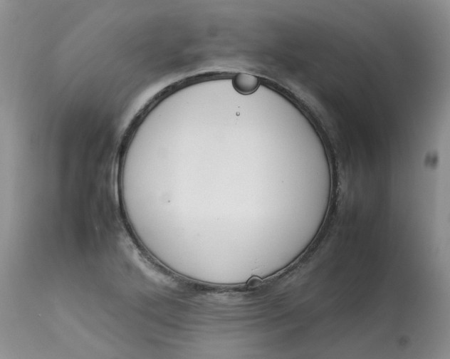 X0000112871272200909111524