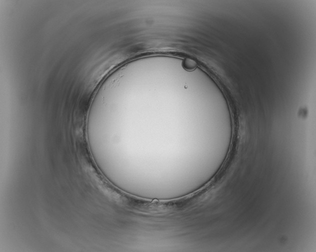 X0000112871273200909111524