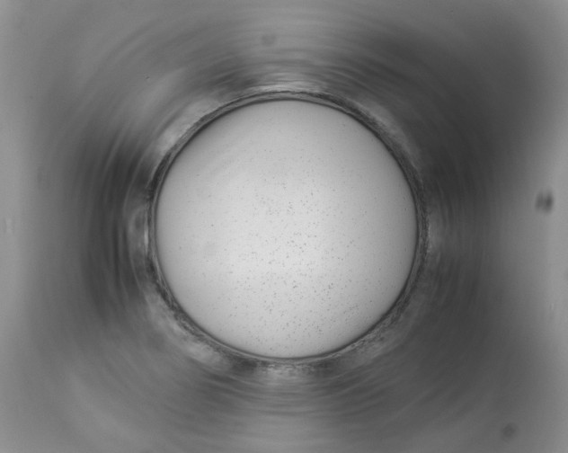 X0000112871274200909111524