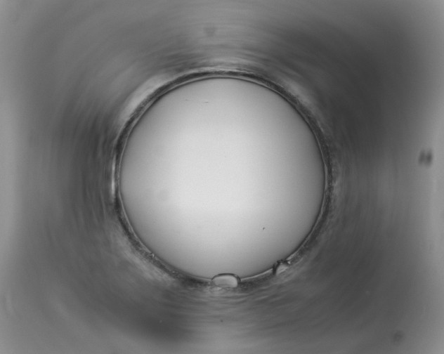 X0000112871275200909111524