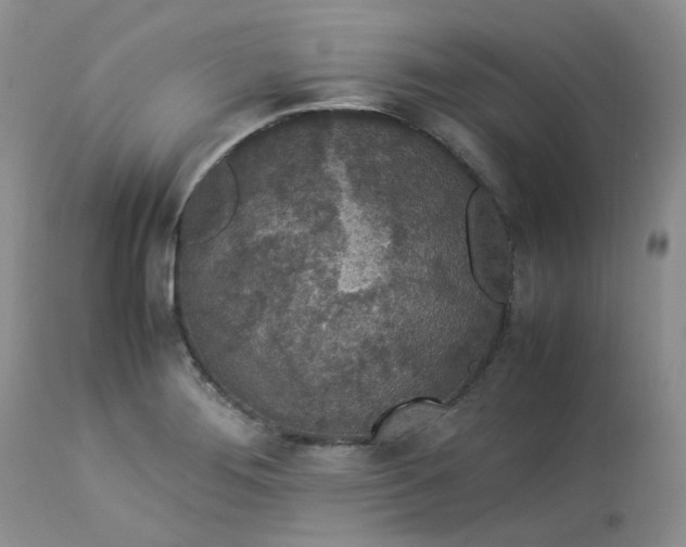 X0000112871276200909111524