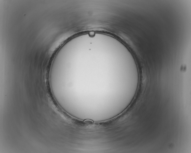 X0000112871277200909111524