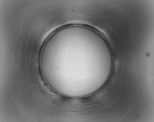 X0000112871279200909111524